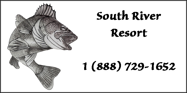 South River Resort