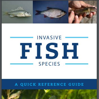 Invasive Fish Species